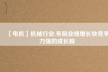 【電機(jī)】機(jī)械行業(yè):布局業(yè)績?cè)鲩L快競爭力強(qiáng)的成長股
          