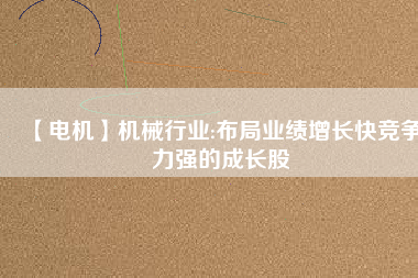 【電機(jī)】機(jī)械行業(yè):布局業(yè)績?cè)鲩L快競爭力強(qiáng)的成長股
          