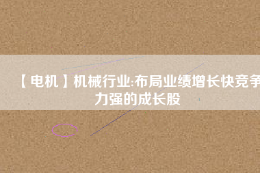 【電機(jī)】機(jī)械行業(yè):布局業(yè)績?cè)鲩L快競爭力強(qiáng)的成長股
          