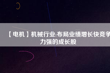 【電機(jī)】機(jī)械行業(yè):布局業(yè)績?cè)鲩L快競爭力強(qiáng)的成長股
          