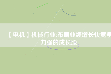 【電機(jī)】機(jī)械行業(yè):布局業(yè)績?cè)鲩L快競爭力強(qiáng)的成長股
          