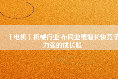 【電機(jī)】機(jī)械行業(yè):布局業(yè)績?cè)鲩L快競爭力強(qiáng)的成長股
          