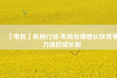 【電機(jī)】機(jī)械行業(yè):布局業(yè)績?cè)鲩L快競爭力強(qiáng)的成長股
          