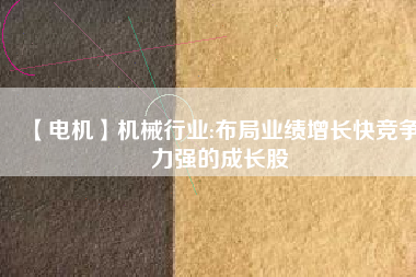 【電機(jī)】機(jī)械行業(yè):布局業(yè)績?cè)鲩L快競爭力強(qiáng)的成長股
          