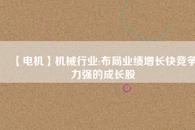 【電機(jī)】機(jī)械行業(yè):布局業(yè)績?cè)鲩L快競爭力強(qiáng)的成長股
          