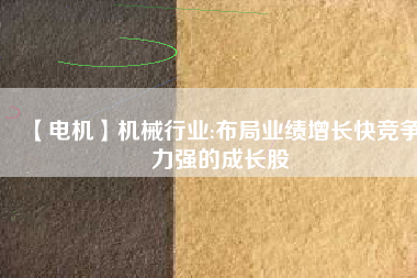 【電機(jī)】機(jī)械行業(yè):布局業(yè)績?cè)鲩L快競爭力強(qiáng)的成長股
          